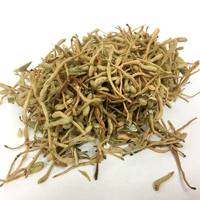 Honeysuckle Flowers 金銀花(忍冬)