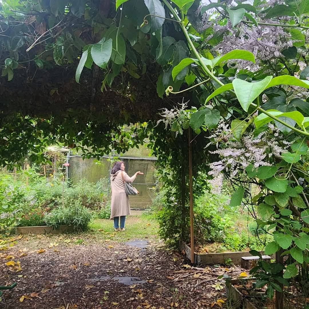 【有機香草原料供應】桃園有機香草農場介紹