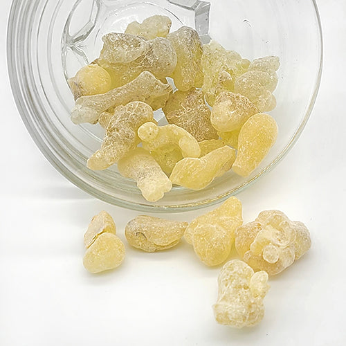Frankincense resin (Oman) 阿曼乳香脂