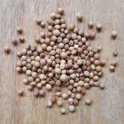 Coriander seed whole