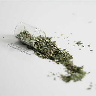 Dandelion Leaf 蒲公英葉