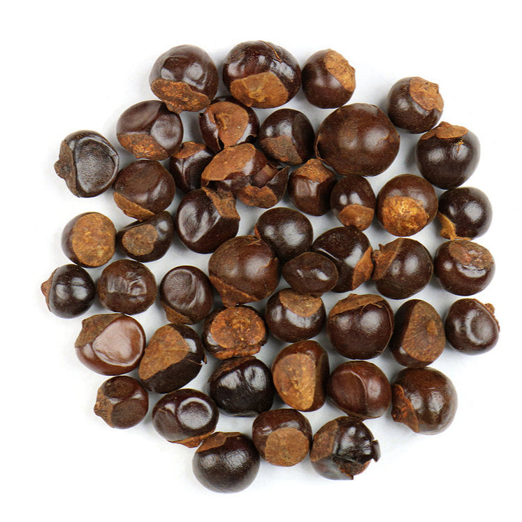 Guarana Seed 瓜拿納