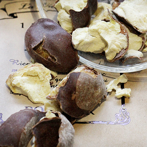 Horse Chestmut 歐洲七葉樹