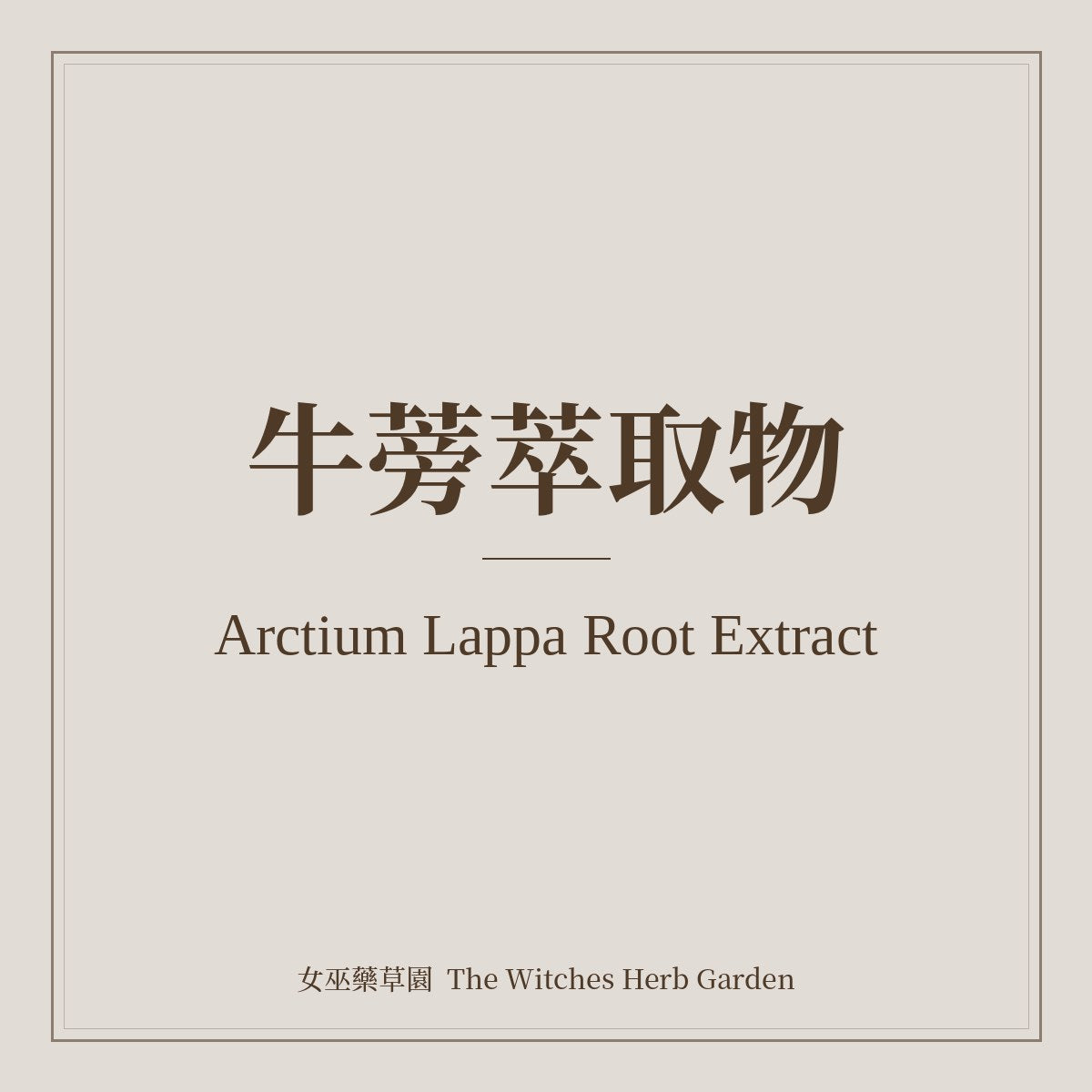 Arctium Lappa Root Extract 牛蒡萃取物