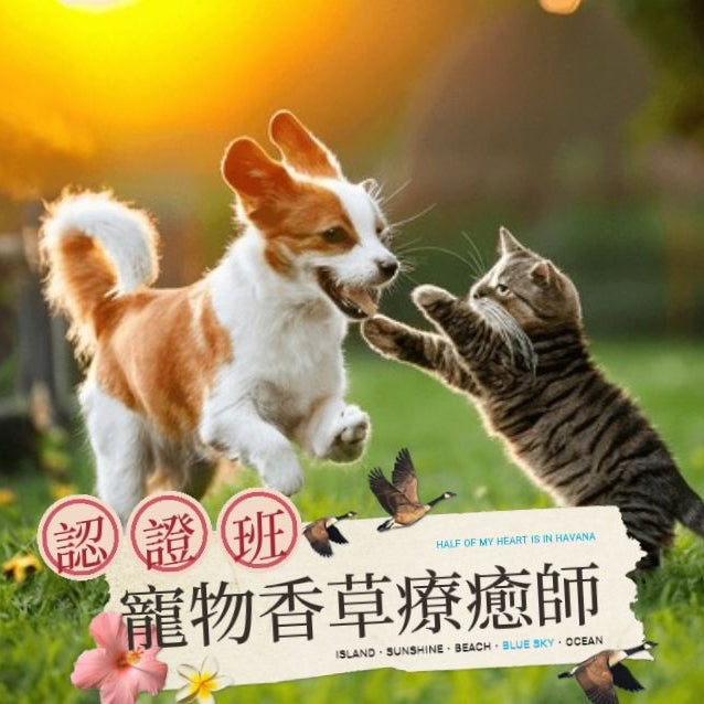 2025/3/16 「THIDA寵物香草療癒師」認證班 <第一屆>
