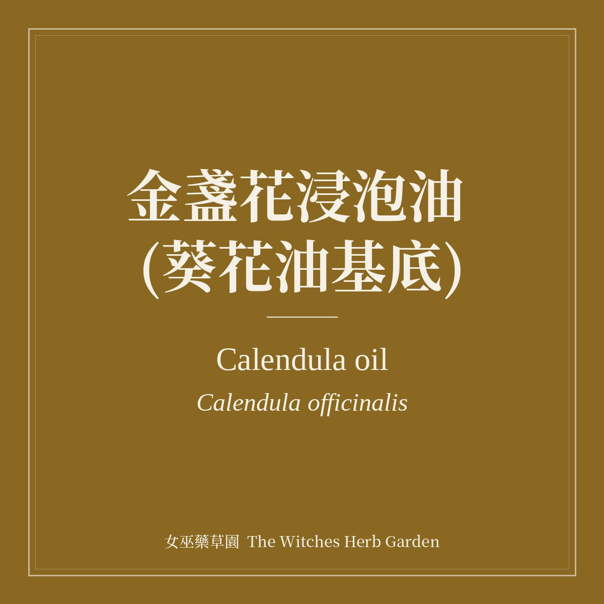 Calendula oil 金盞花浸泡油 (葵花油基底)