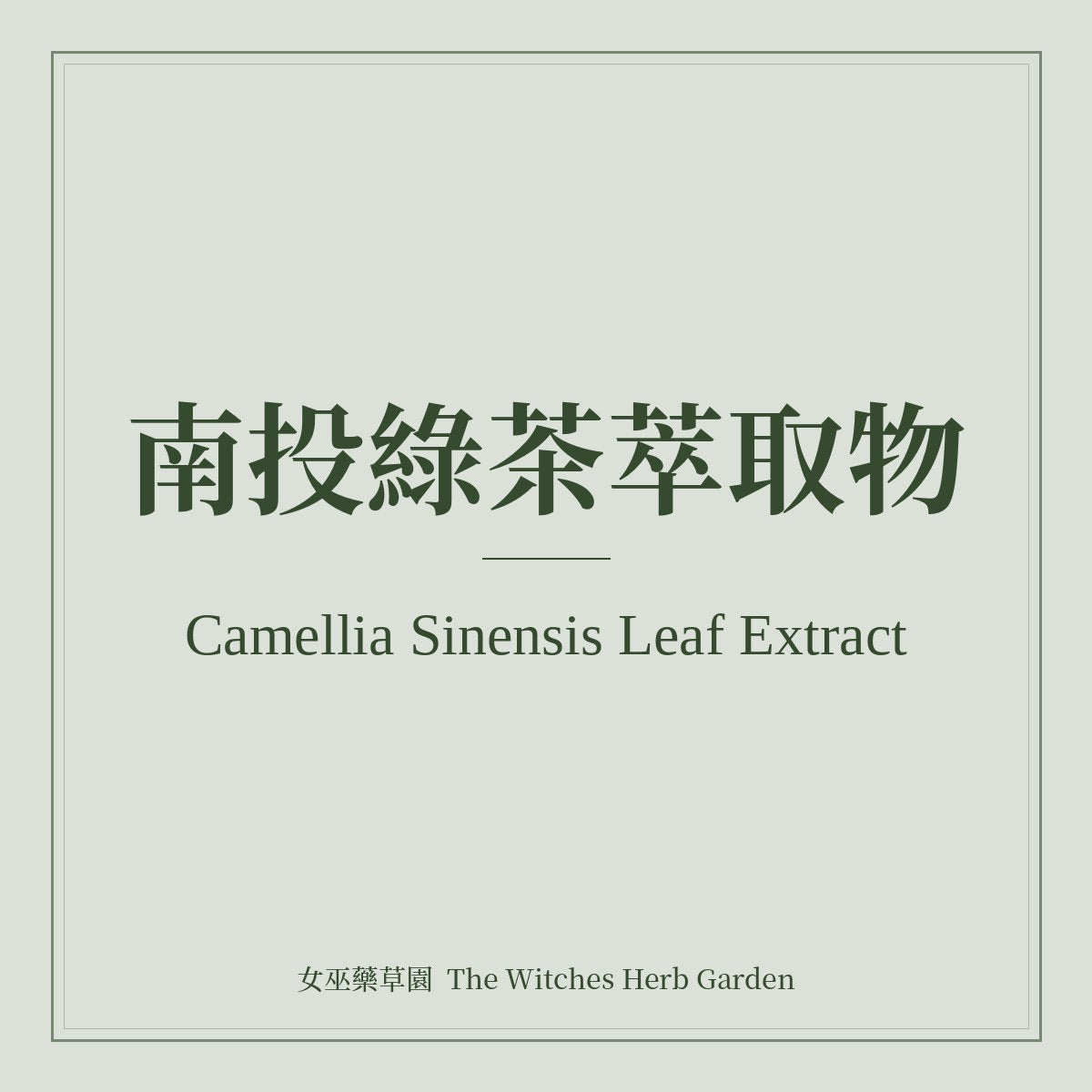 Camellia Sinensis Leaf Extract (Nantou Green Tea)