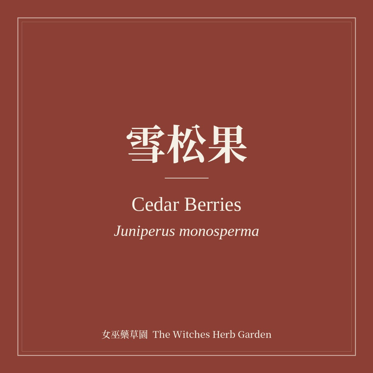 Cedar Berries Juniperus monosperma
