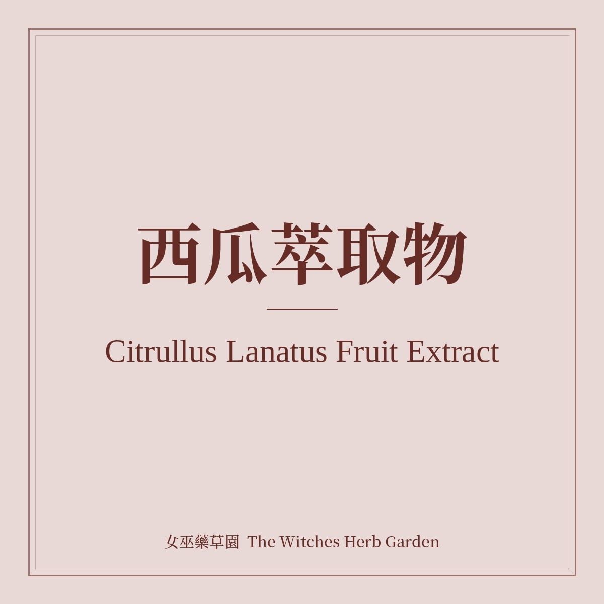 Citrullus Lanatus Fruit Extract 西瓜萃取物