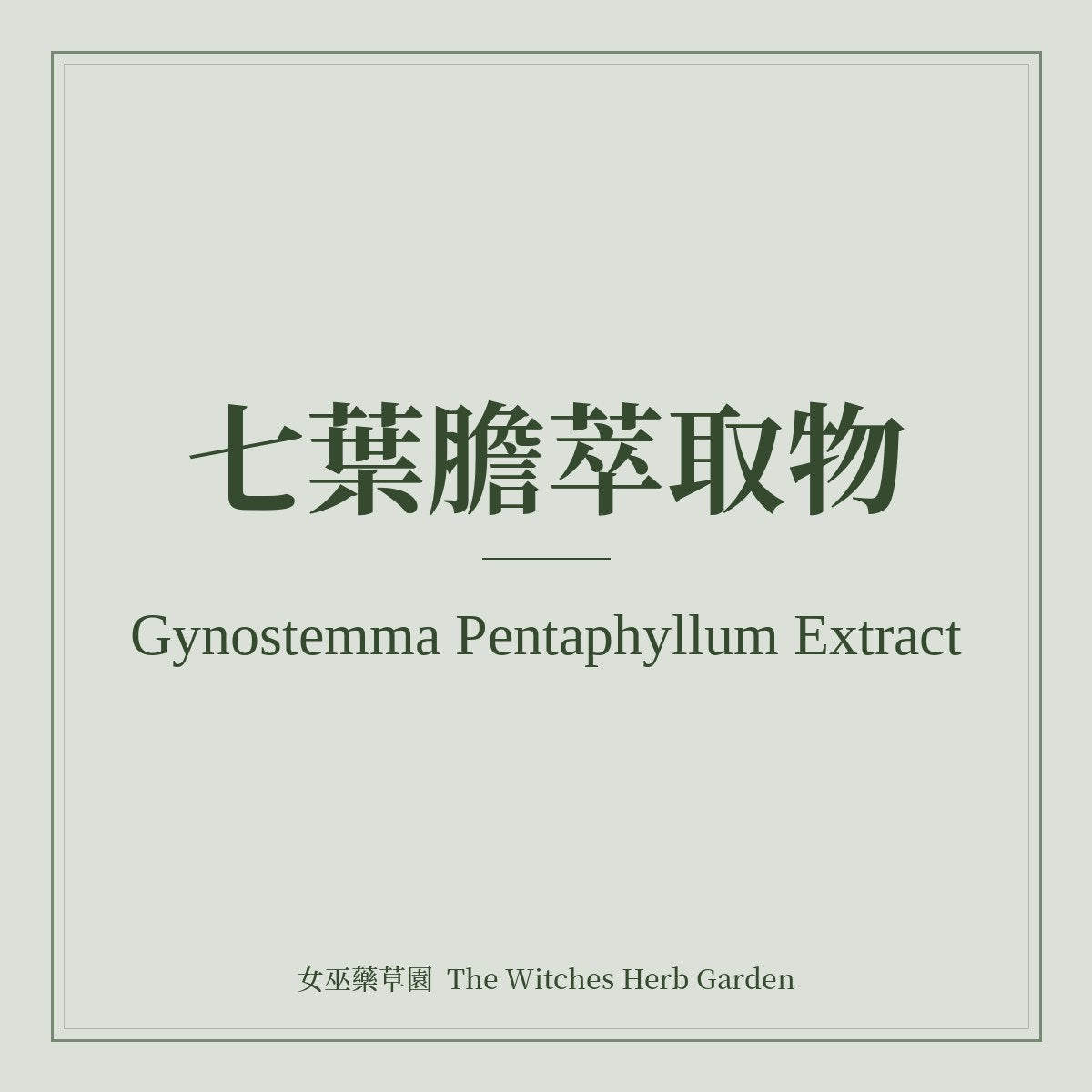 Gynostemma Pentaphyllum Extract