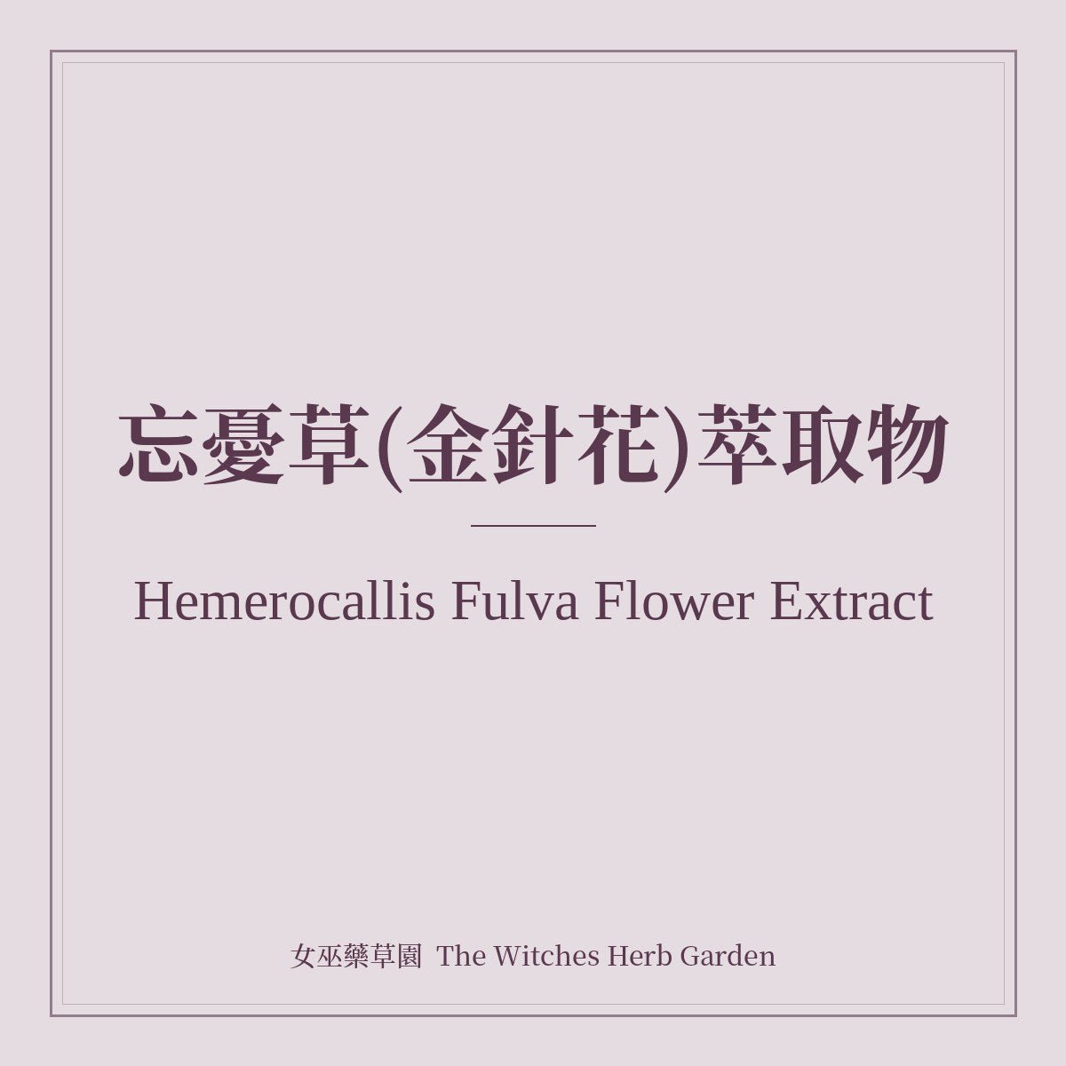 Hemerocallis Fulva Flower Extract 忘憂草(金針花)萃取物