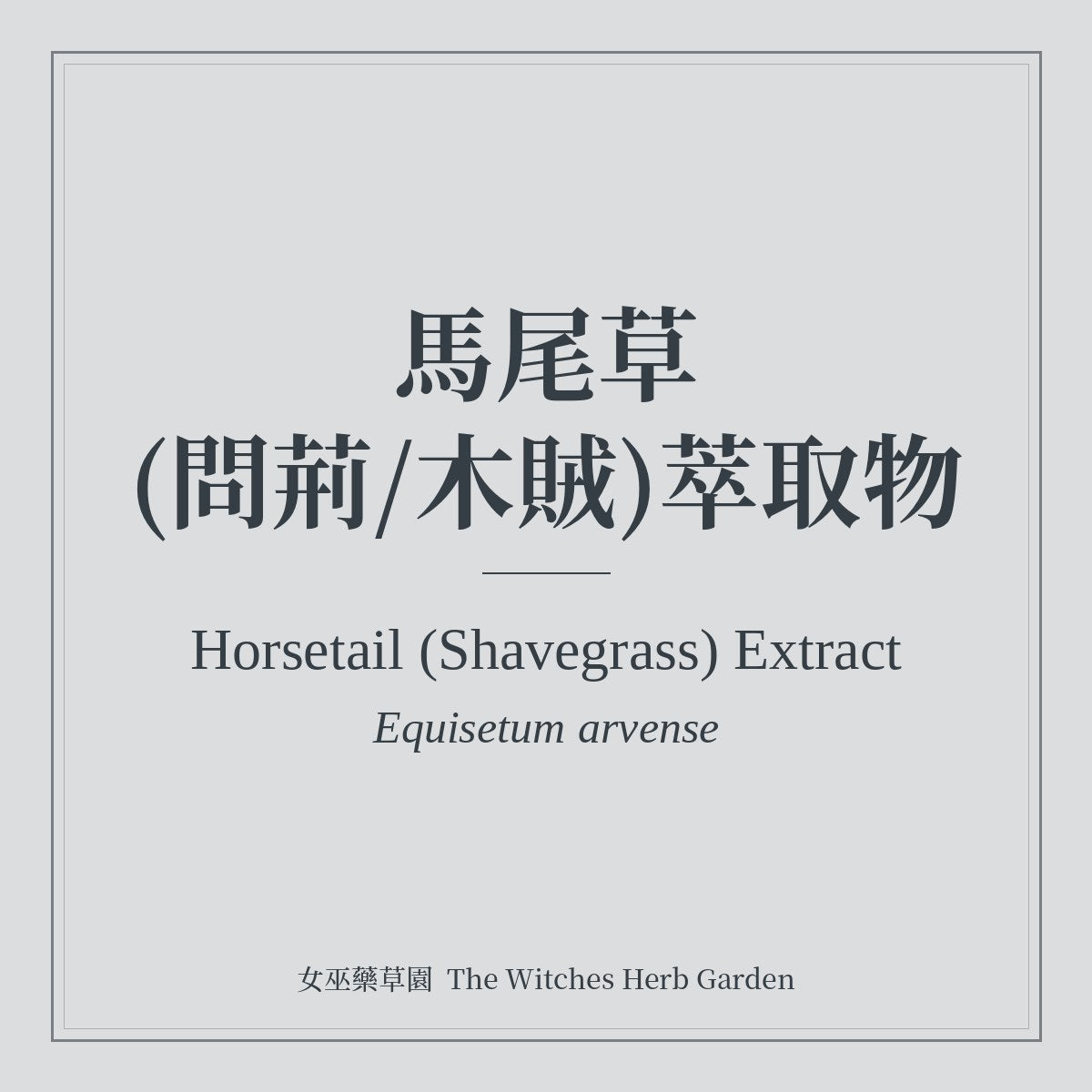 Horsetail (Shavegrass) Extract 馬尾草(問荊/木賊)萃取物 Equisetum arvense