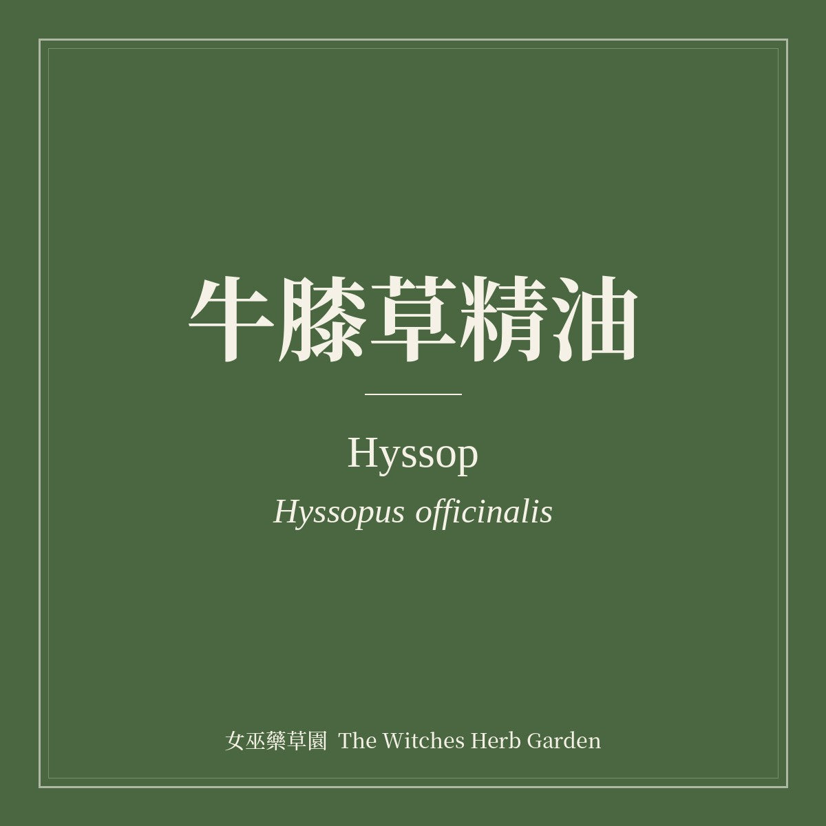 Hyssop Essential Oil