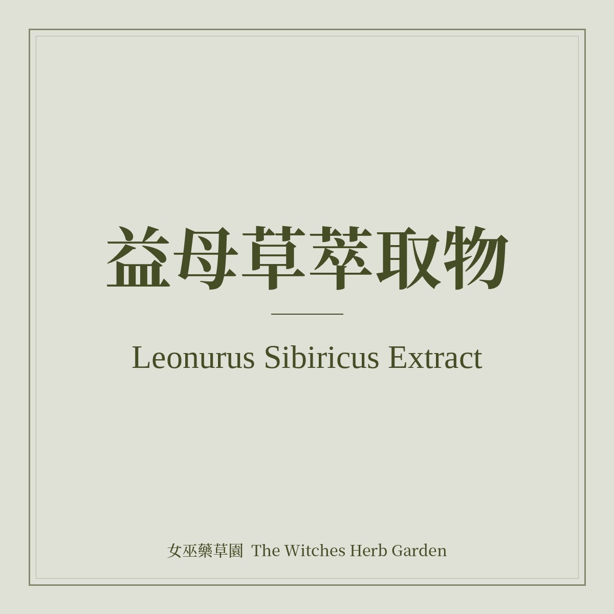 Leonurus Sibiricus Extract