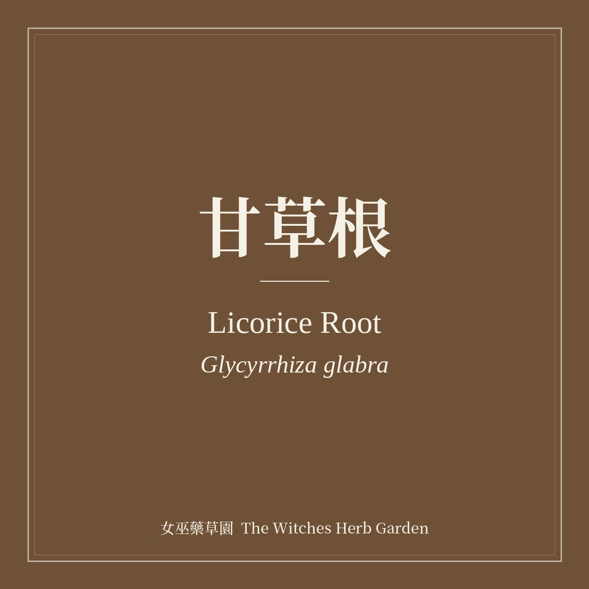 Licorice Root Glycyrrhiza glabra