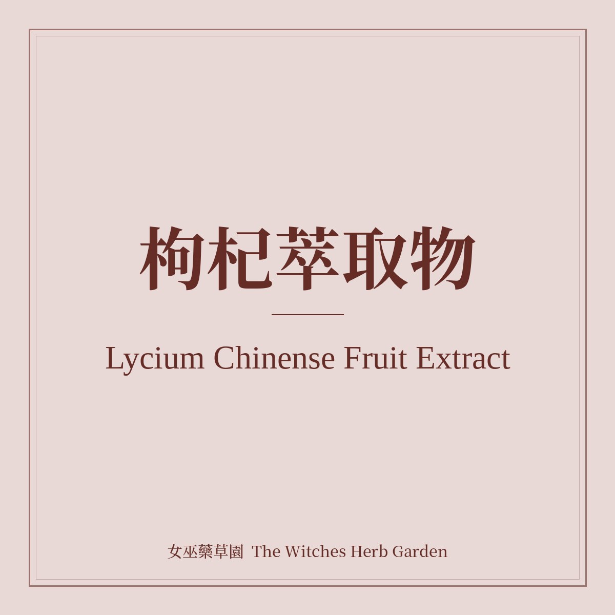 Lycium Chinense Fruit Extract 枸杞萃取物
