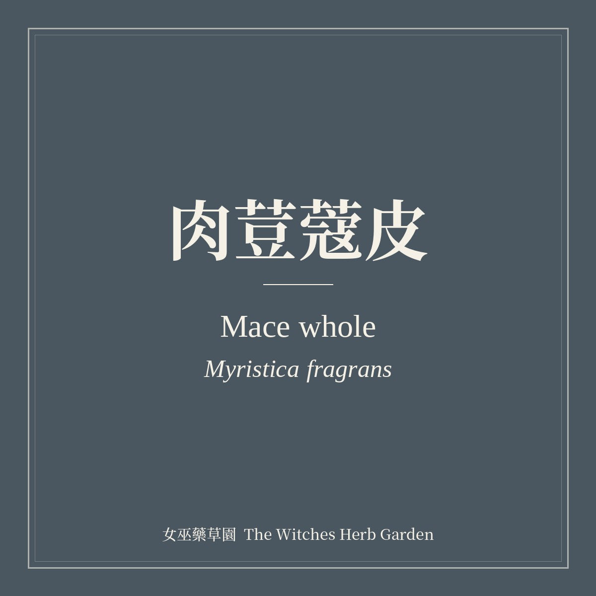 Mace whole Myristica fragrans