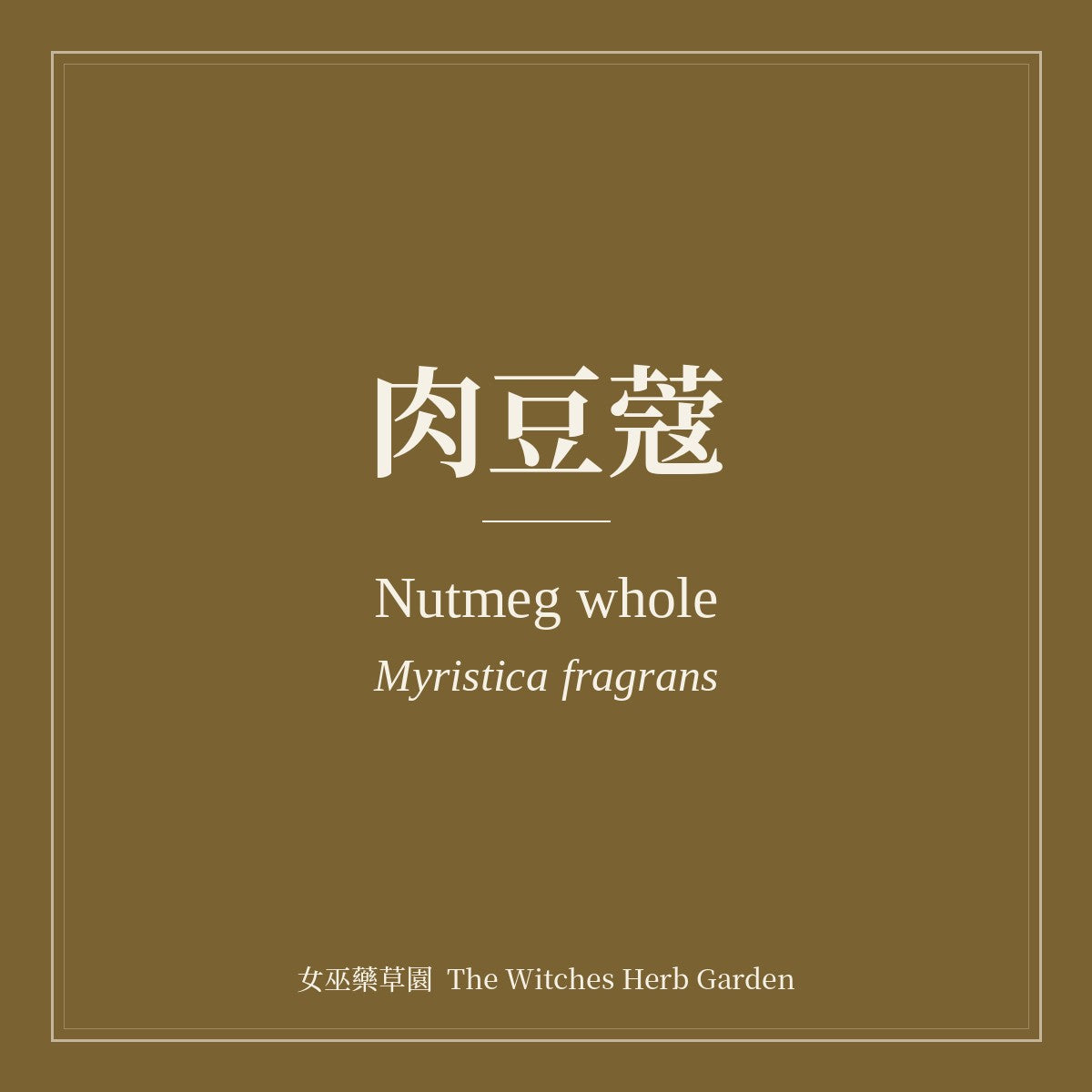 Nutmeg whole Myristica fragrans