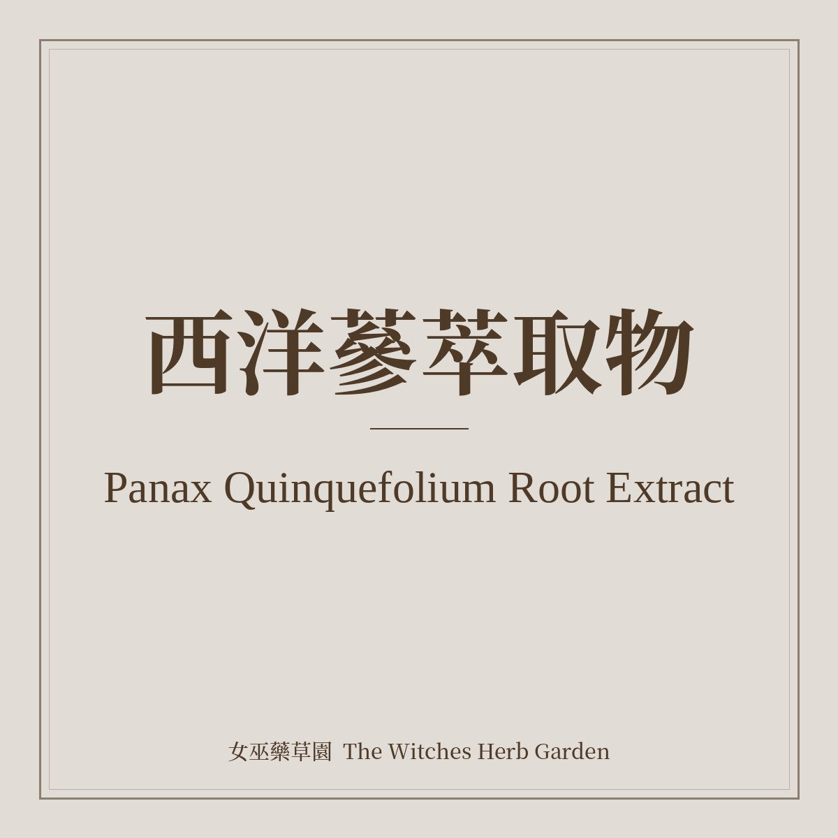 Panax Quinquefolium Root Extract 西洋蔘萃取物