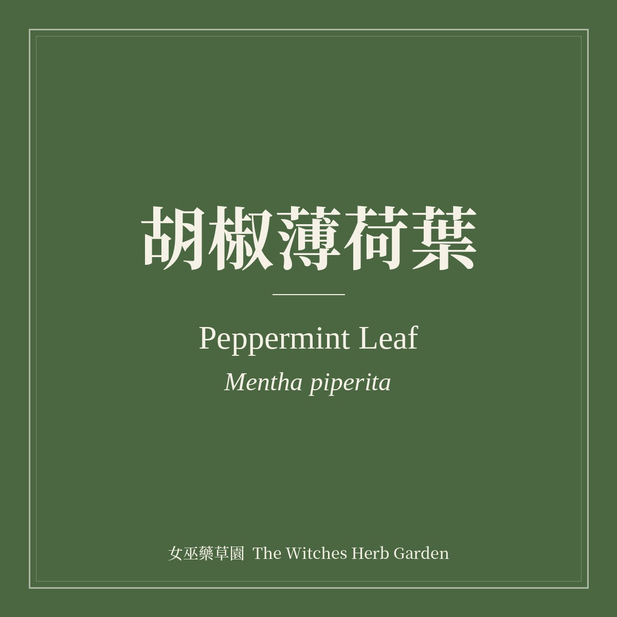 Peppermint Leaf Mentha piperita