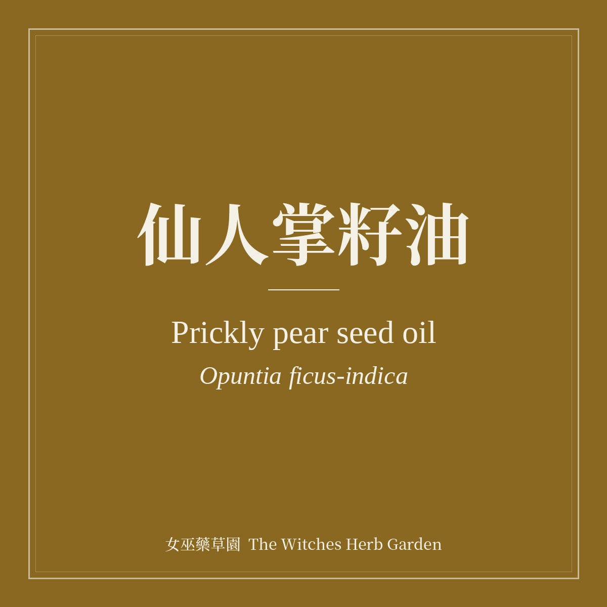 Prickly Pear Seed Oil