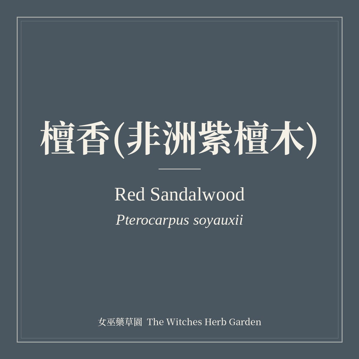 Red Sandalwood Pterocarpus soyauxii