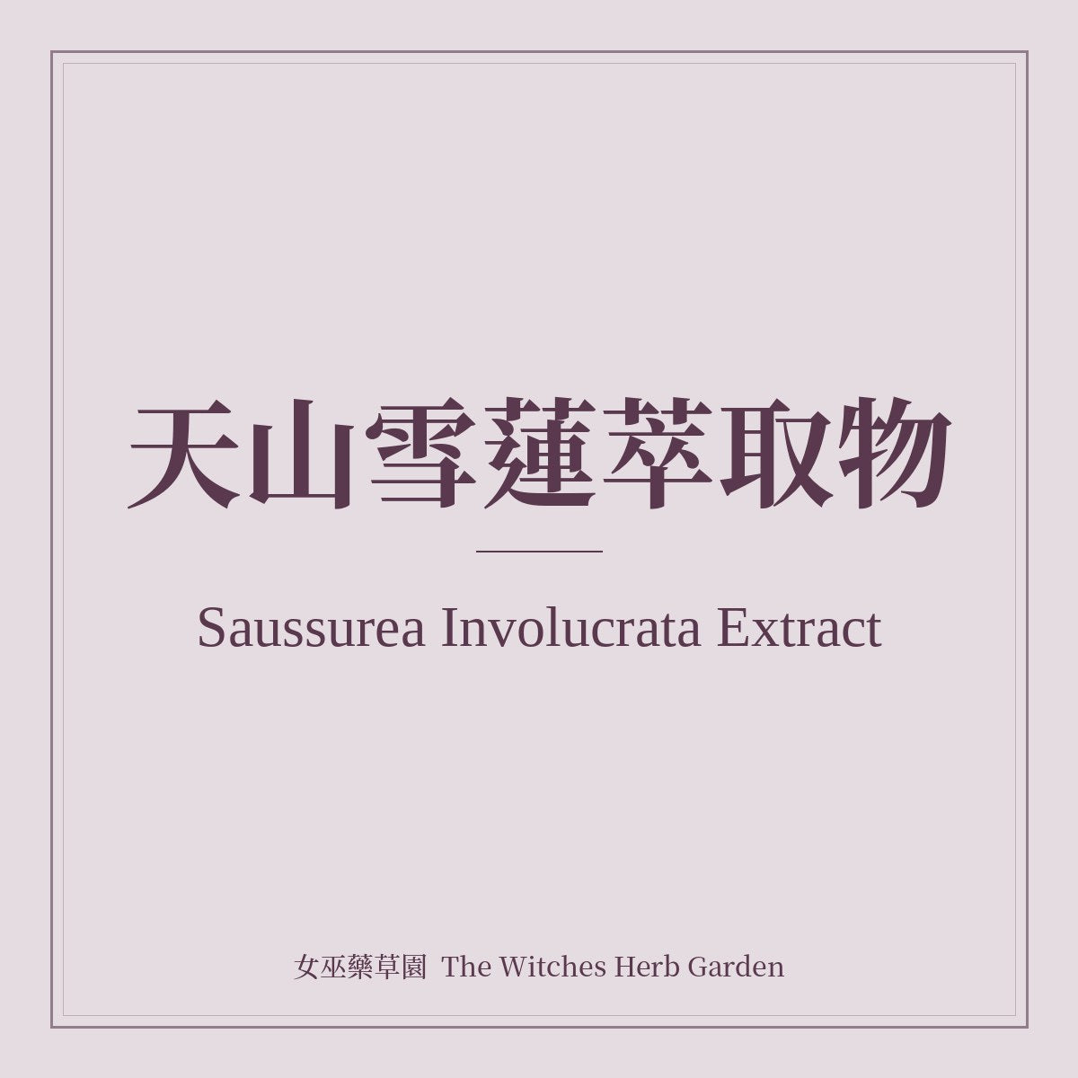 Saussurea Involucrata Extract 天山雪蓮萃取物