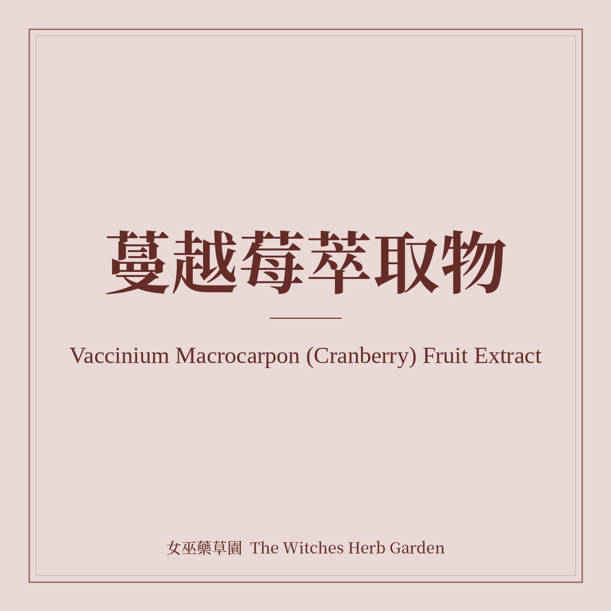 Vaccinium Macrocarpon (Cranberry) Fruit Extract 蔓越莓萃取物