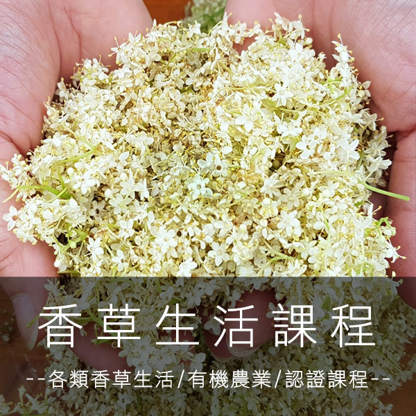香草生活課程(門市實體課)