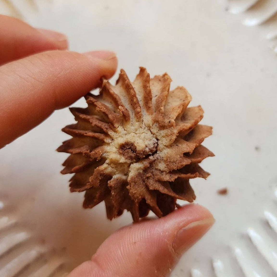 [Gluten-Free Snack] Cocoa Black Rice Cookies