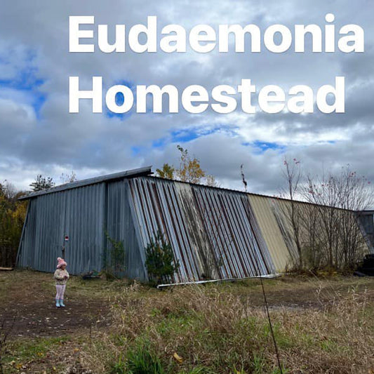 Exclusive Agent of “ USA Eudaimonia Homestead Organic Herb Farm”