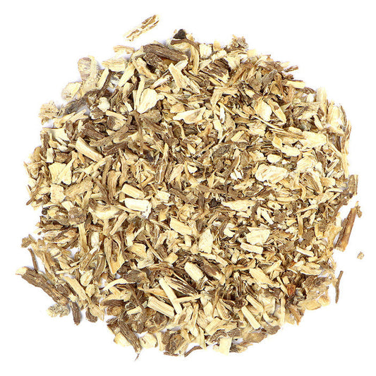Angelica Root