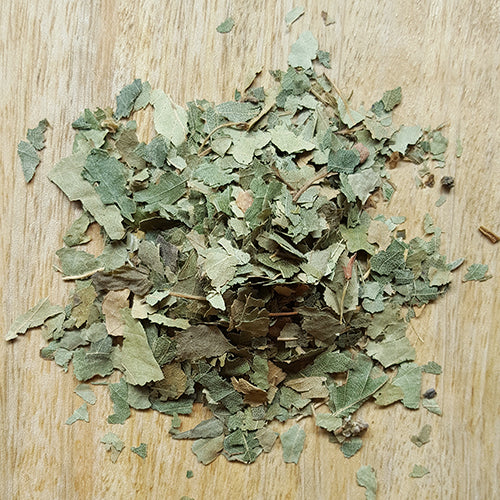Birch Leaf