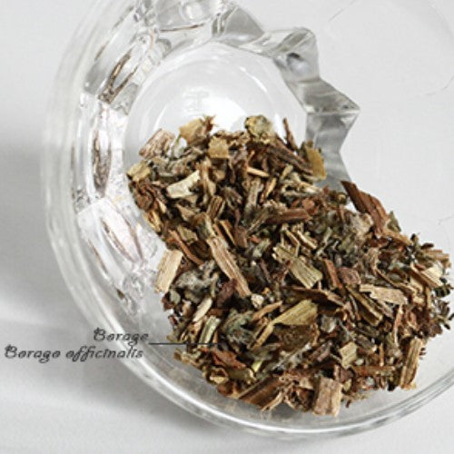 Borage Herb