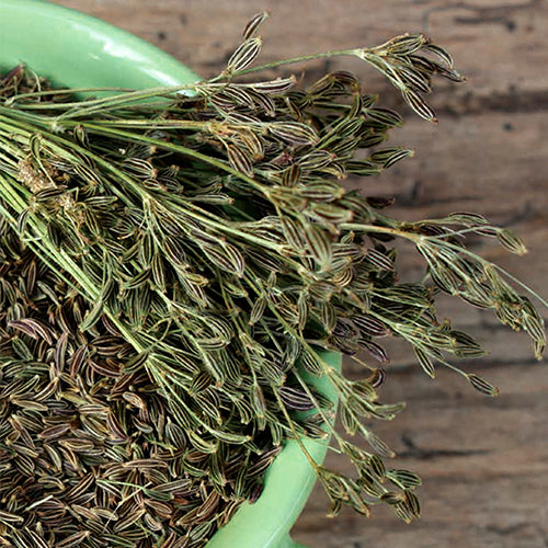 Caraway Seed
