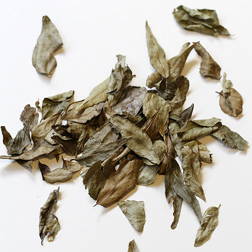 Curry leaf