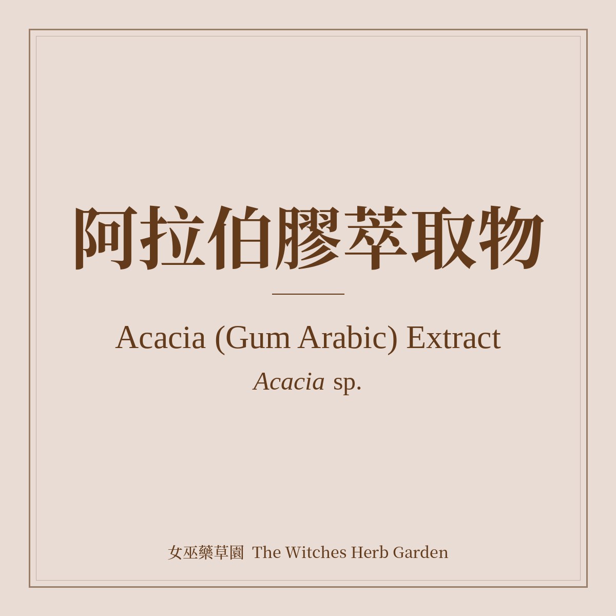 Acacia (Gum Arabic) Extract 阿拉伯膠萃取物 Acacia sp.