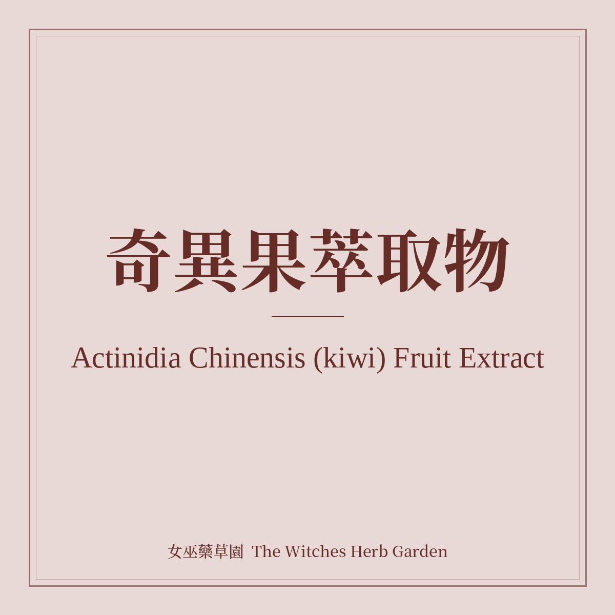 Actinidia Chinensis (kiwi) Fruit Extract 奇異果萃取物
