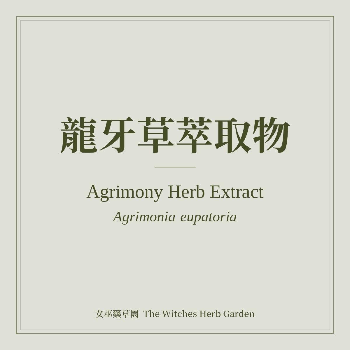 Agrimony Herb Extract Agrimonia eupatoria