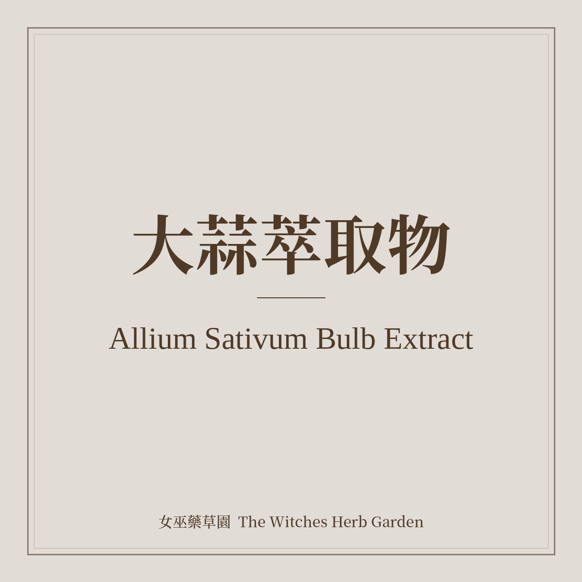 Allium Sativum Bulb Extract 大蒜萃取物