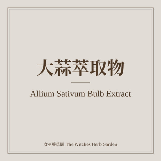 Allium Sativum Bulb Extract 大蒜萃取物