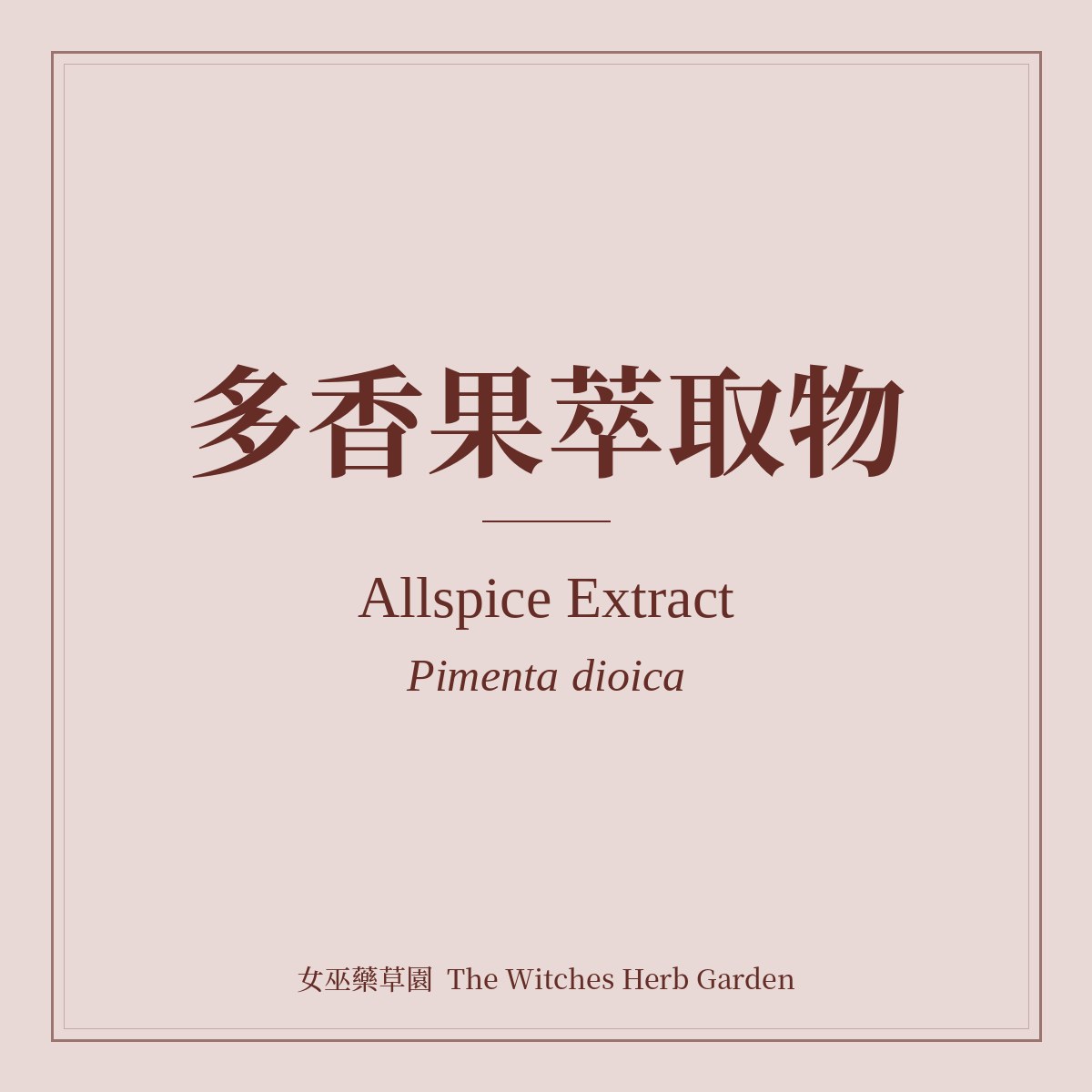 Allspice Extract 多香果萃取物 Pimenta dioica