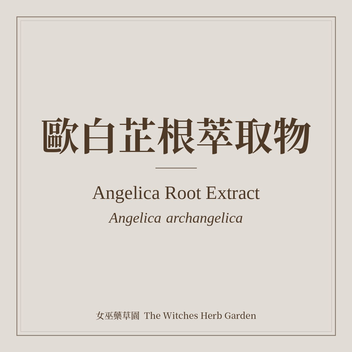 Angelica Root Extract Angelica archangelica