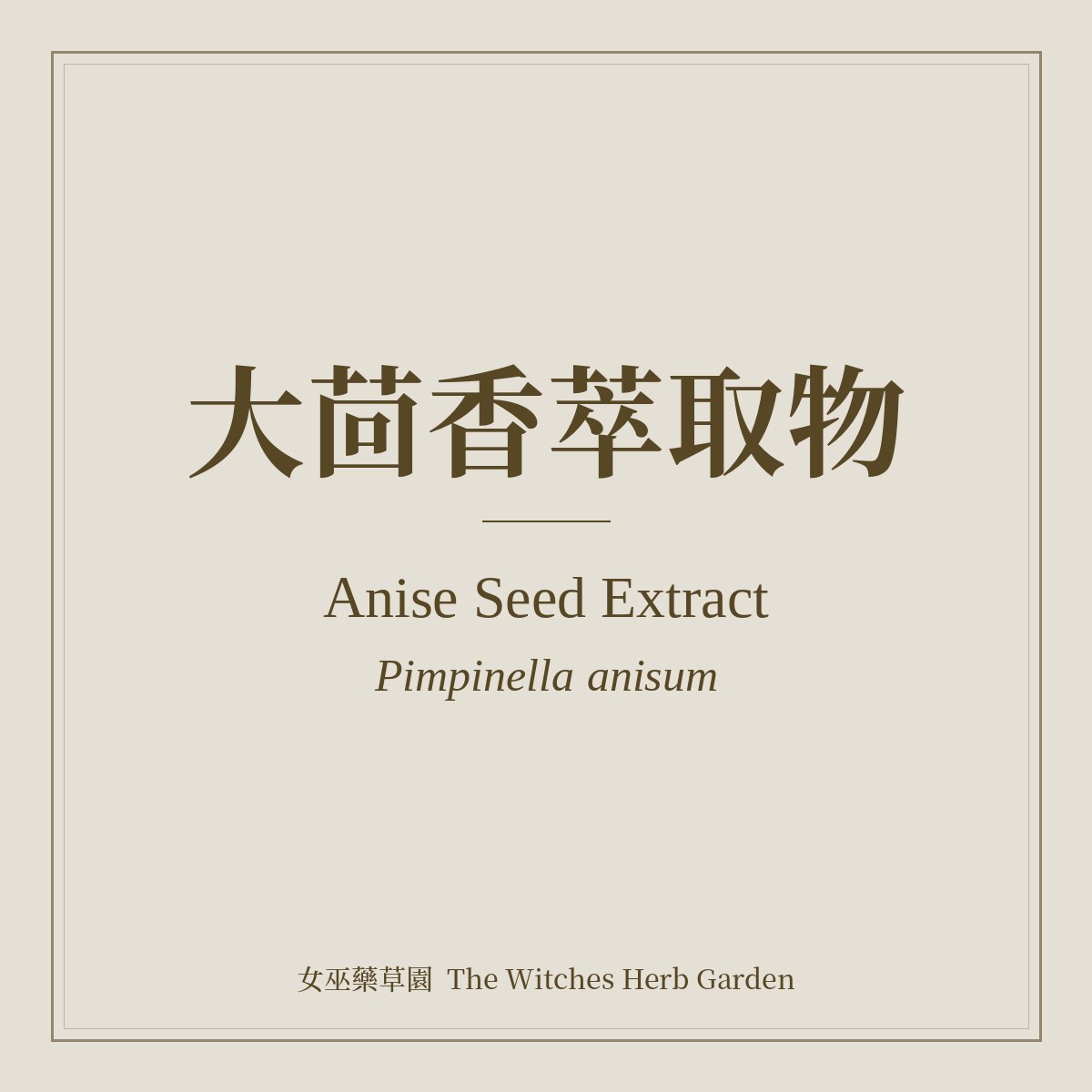 Anise Seed Extract 大茴香萃取物 Pimpinella anisum