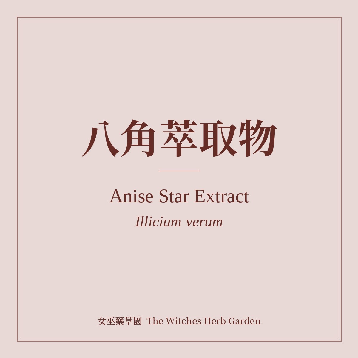 Anise Star Extract Illicium verum