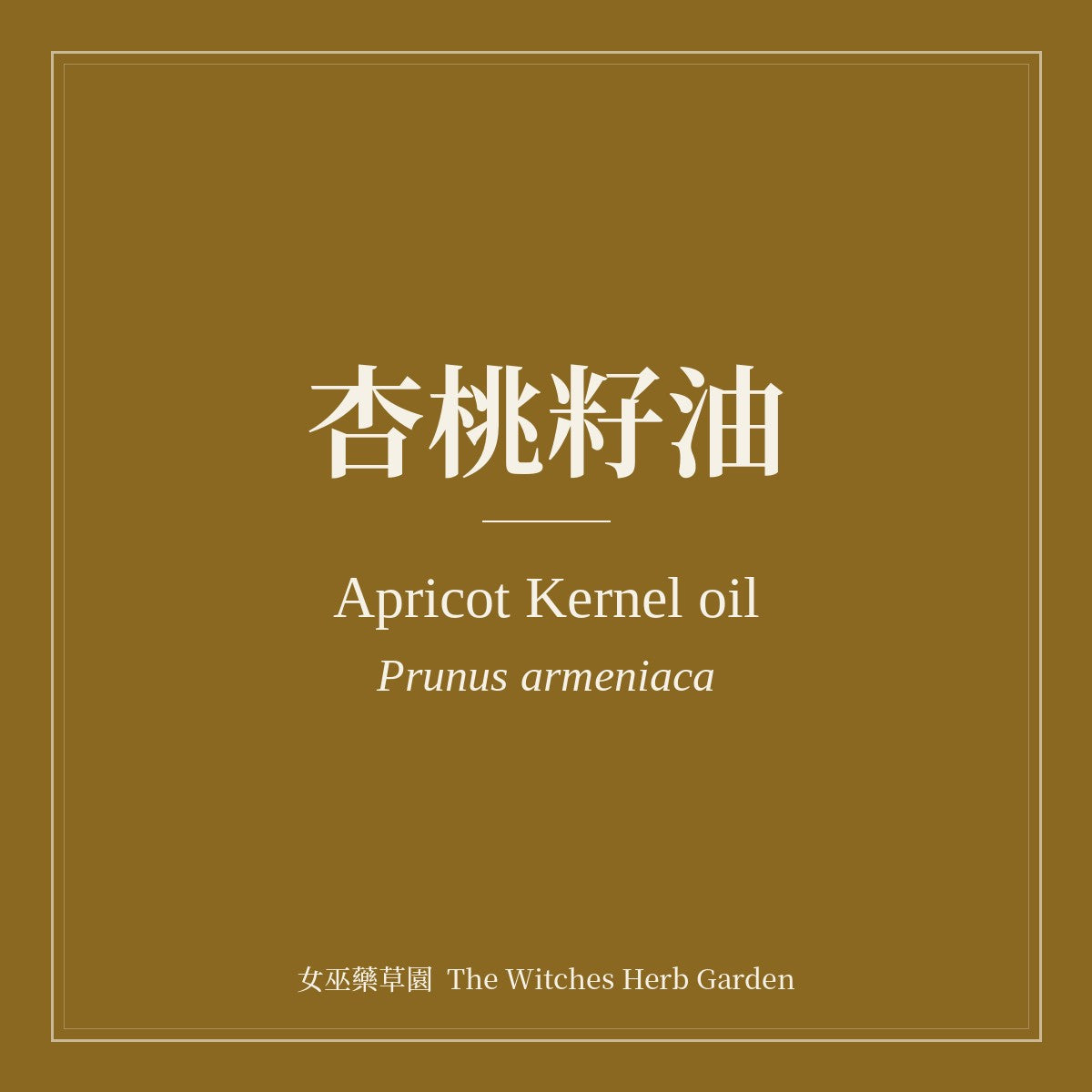 Apricot Kernel Oil