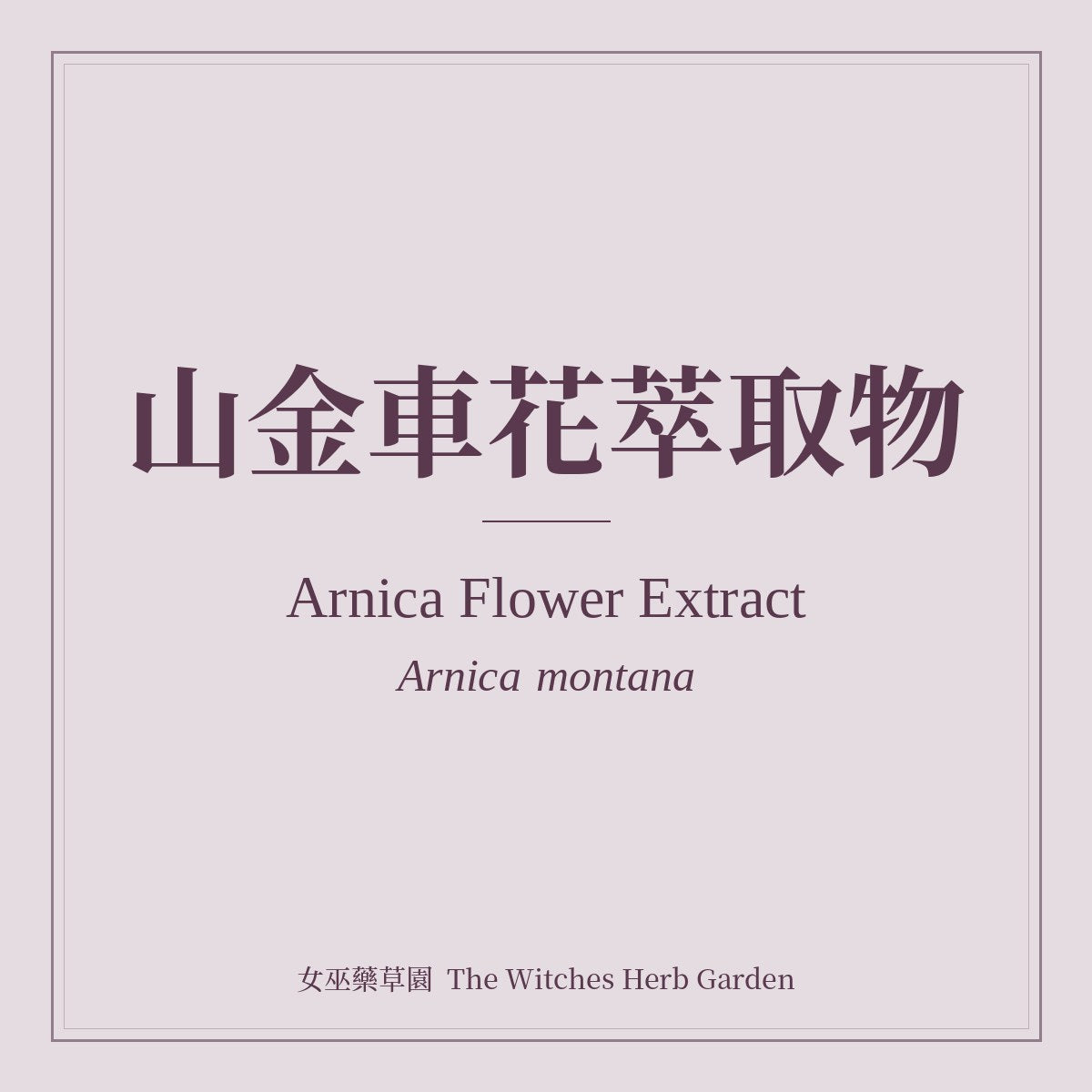 Arnica Flower Extract 山金車花萃取物 Arnica montana