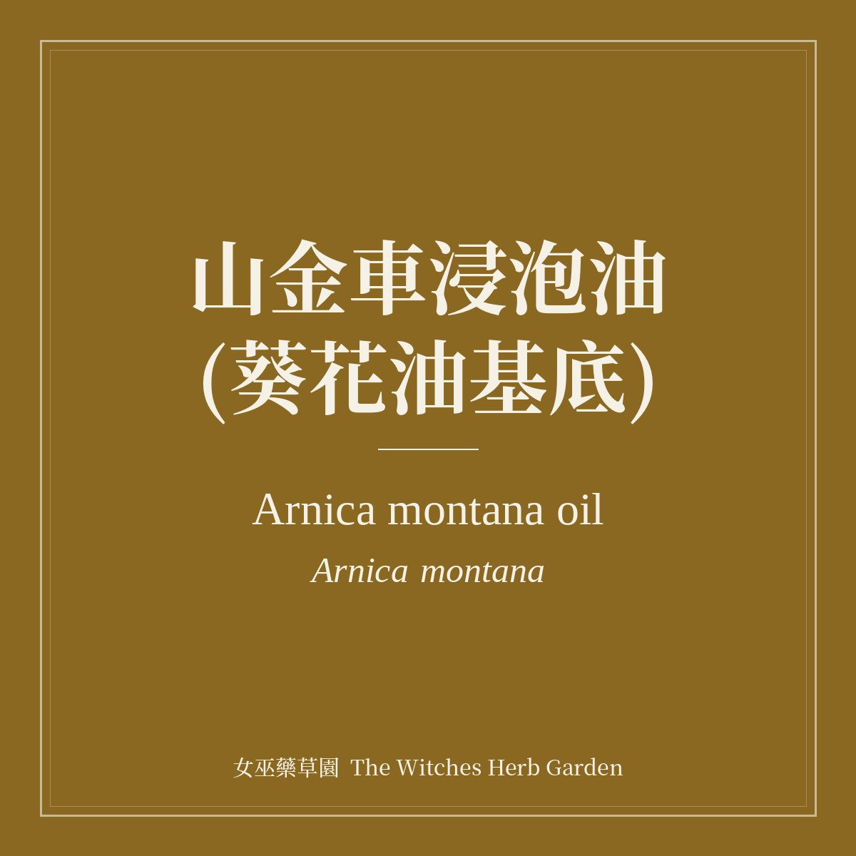 Arnica Montana Infused Oil (Sunflower Oil Base)