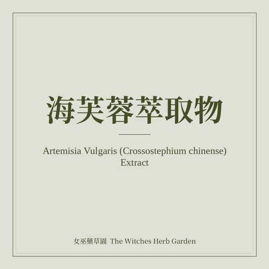 Artemisia Vulgaris (Crossostephium chinense) Extract 海芙蓉萃取物