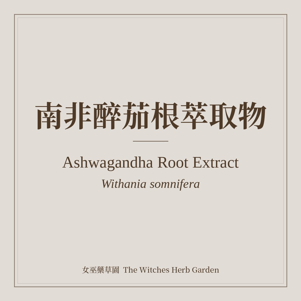Ashwagandha Root Extract 南非醉茄根萃取物 Withania somnifera